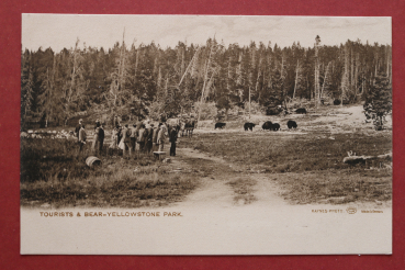Postcard PC Yellowstone National Park Wyoming 1900 Tourists Bears Grizzly USA US United States